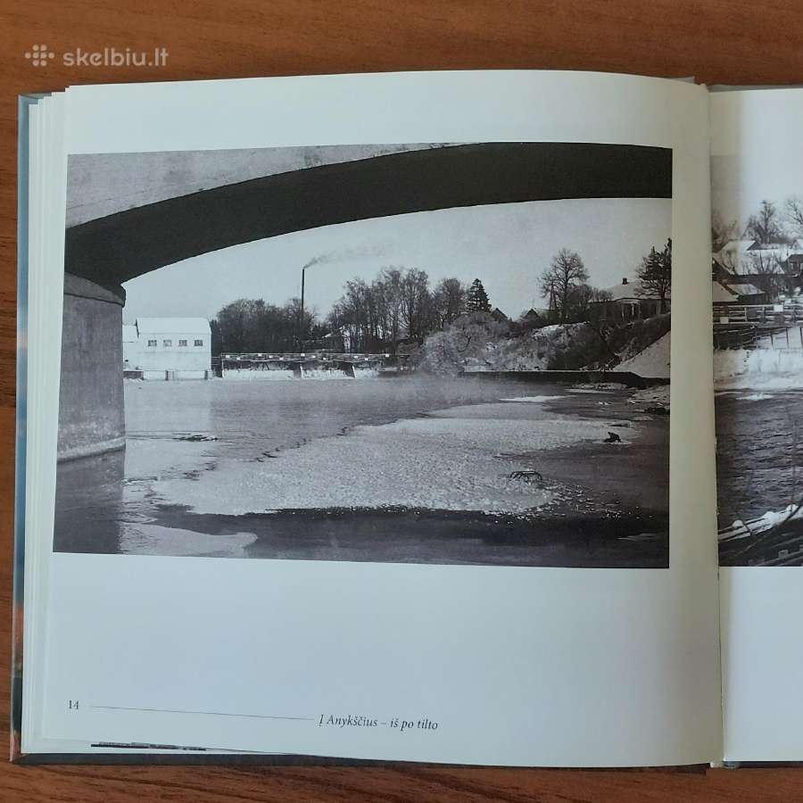 Aioyzas Janušis " Švytėjimas ". - nuotraukos Nr. 8