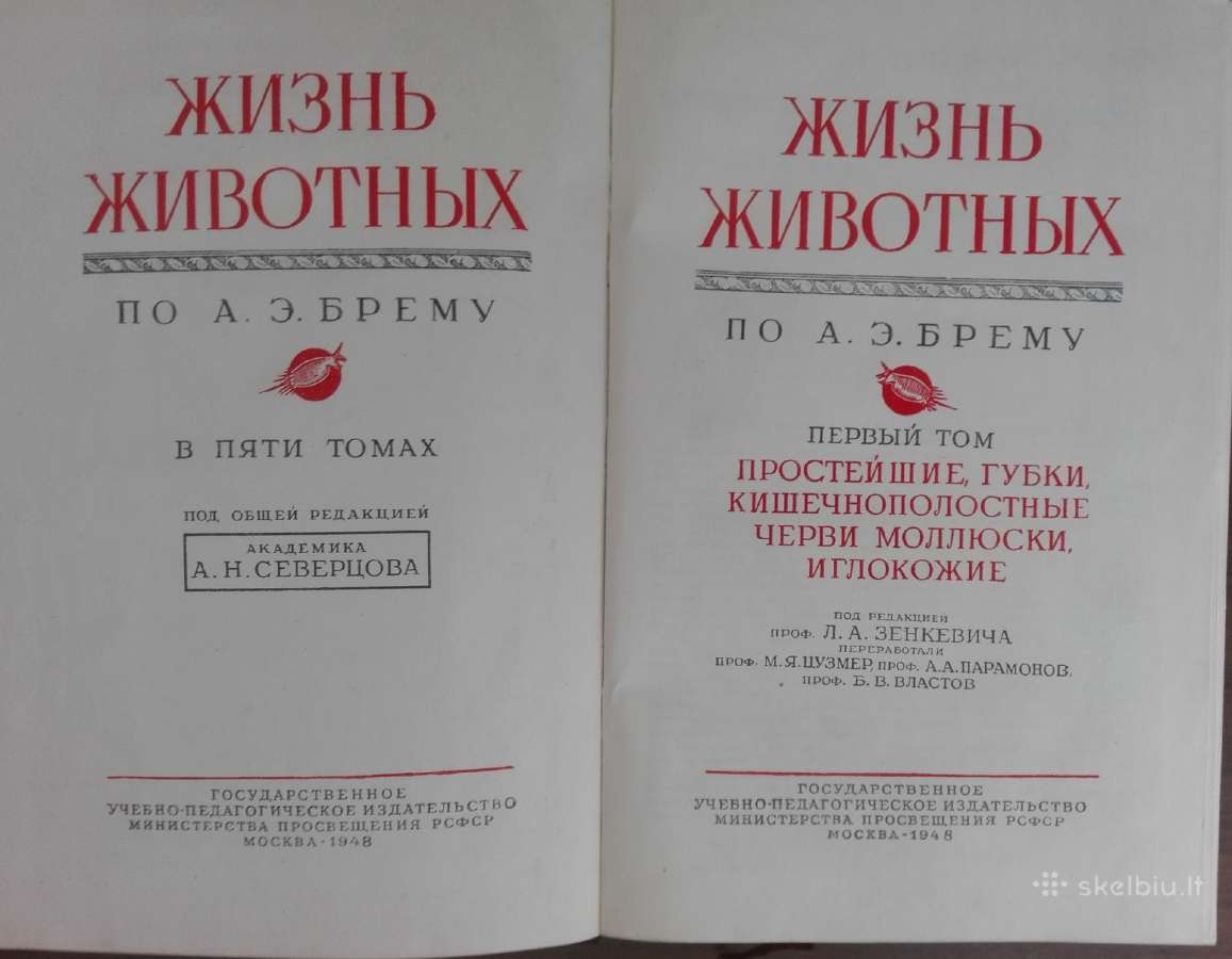 1744. Жизнь Животных По А. Э. Бремеру - nuotraukos Nr. 2