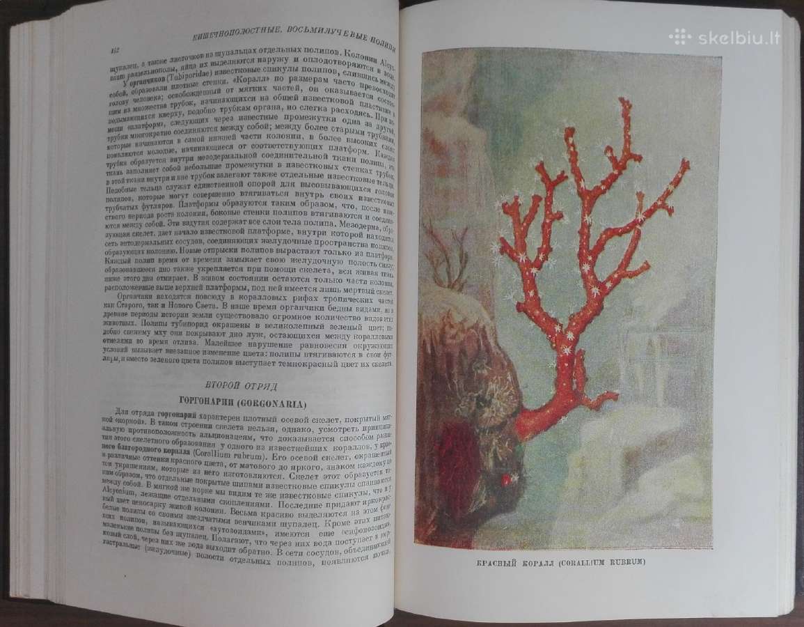 1744. Жизнь Животных По А. Э. Бремеру - nuotraukos Nr. 7