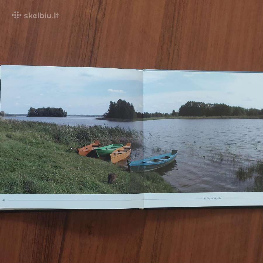 Aioyzas Janušis " Švytėjimas ". - nuotraukos Nr. 20
