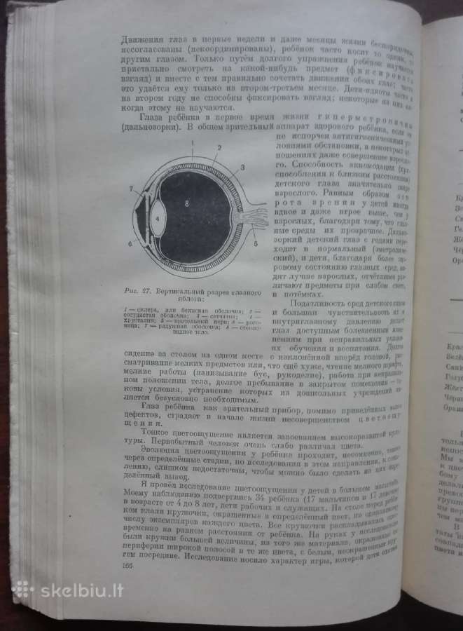 1747. Дошкольный Возраст Е. А. Аркин - nuotraukos Nr. 6