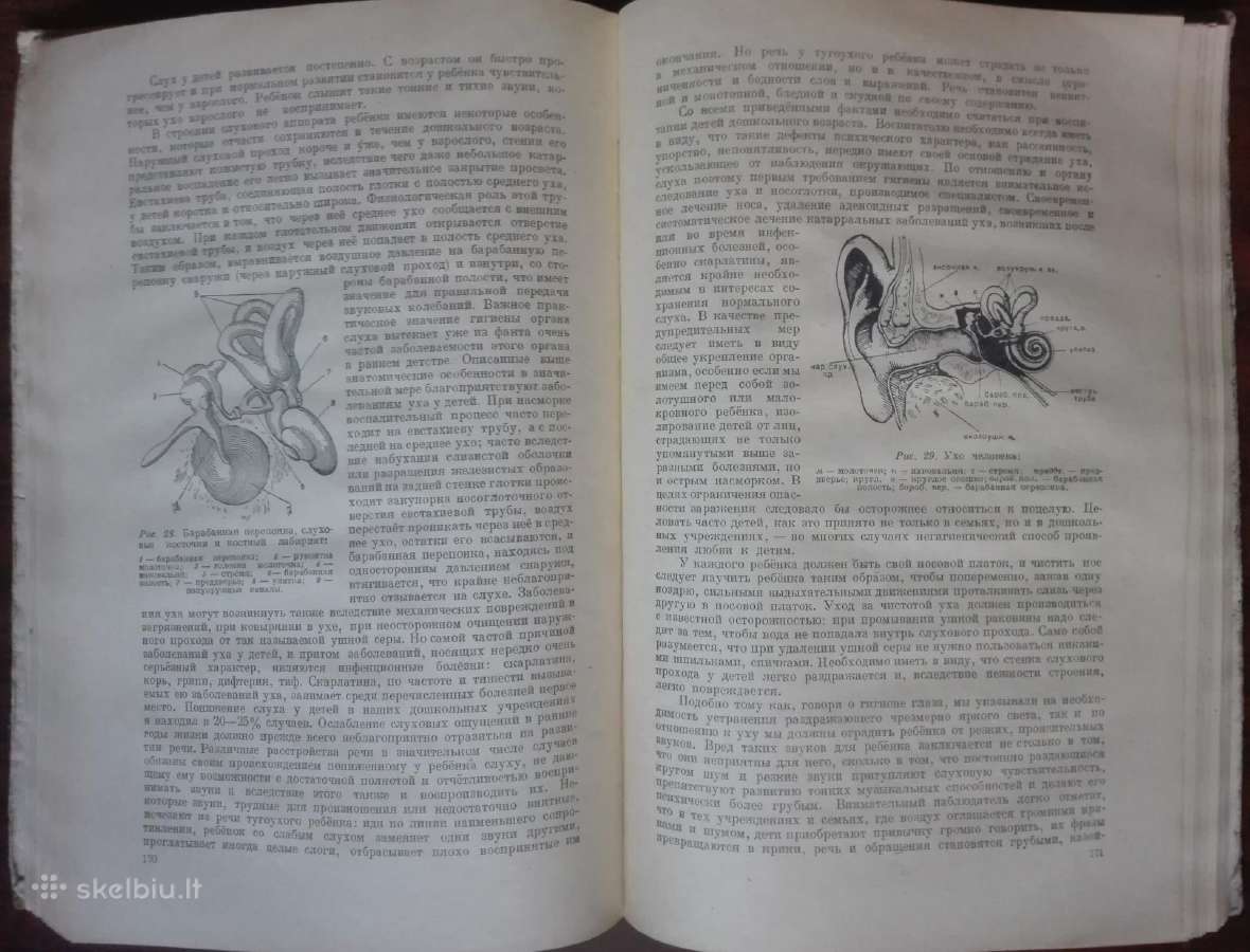 1747. Дошкольный Возраст Е. А. Аркин - nuotraukos Nr. 7