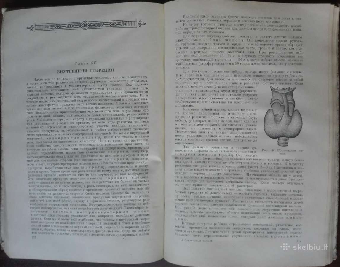 1747. Дошкольный Возраст Е. А. Аркин - nuotraukos Nr. 8