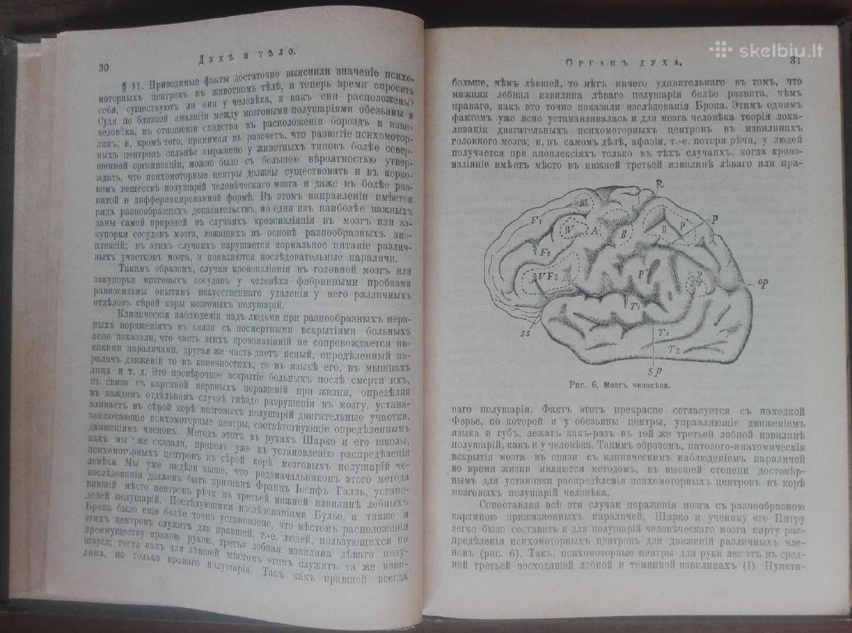 1756. Духъ И Тђло Бронгаузъ-ефронъ - nuotraukos Nr. 4