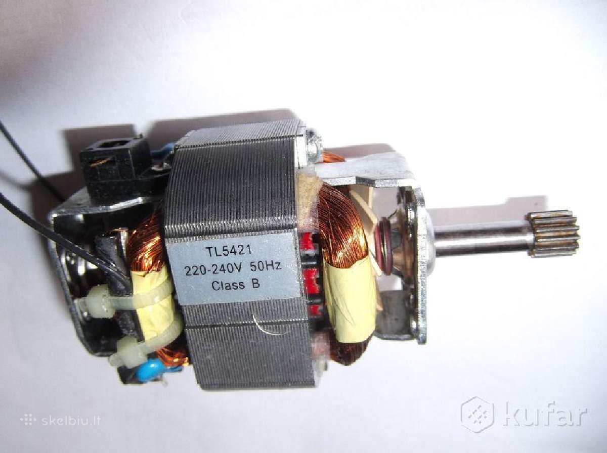 220v variklis Tl5421