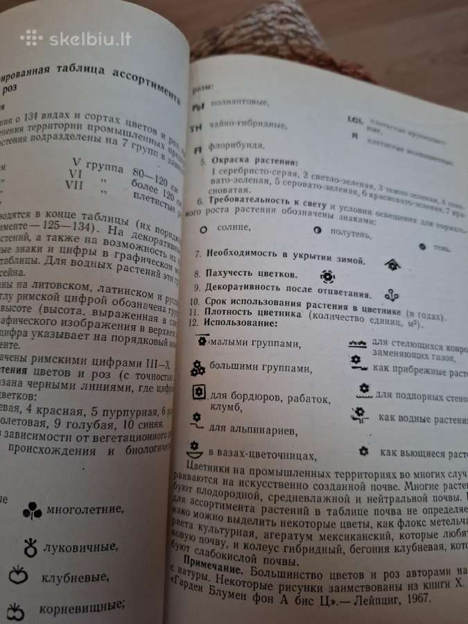 Pramonės teritorijų gėlynai - nuotraukos Nr. 3