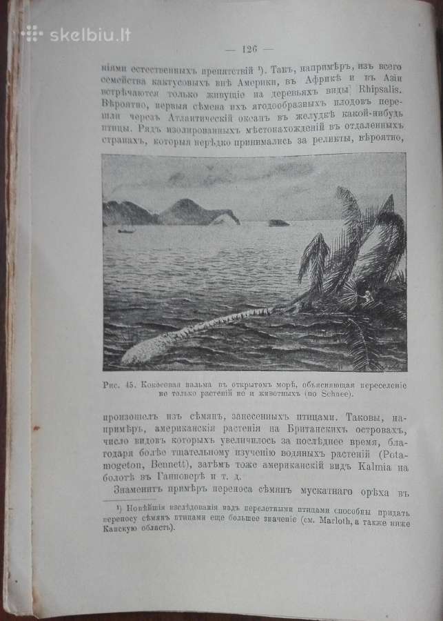 1760. Географiя Растенiй П. Гребнеръ - nuotraukos Nr. 5