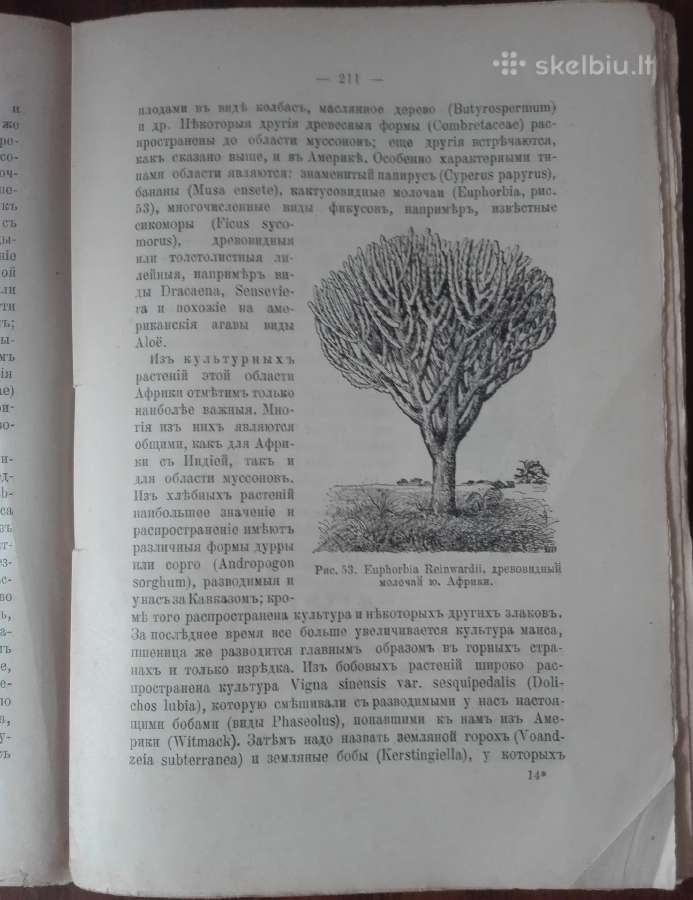1760. Географiя Растенiй П. Гребнеръ - nuotraukos Nr. 9