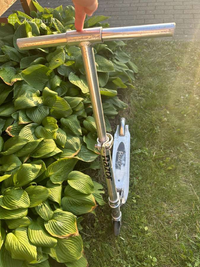 Paspirtukas Razor