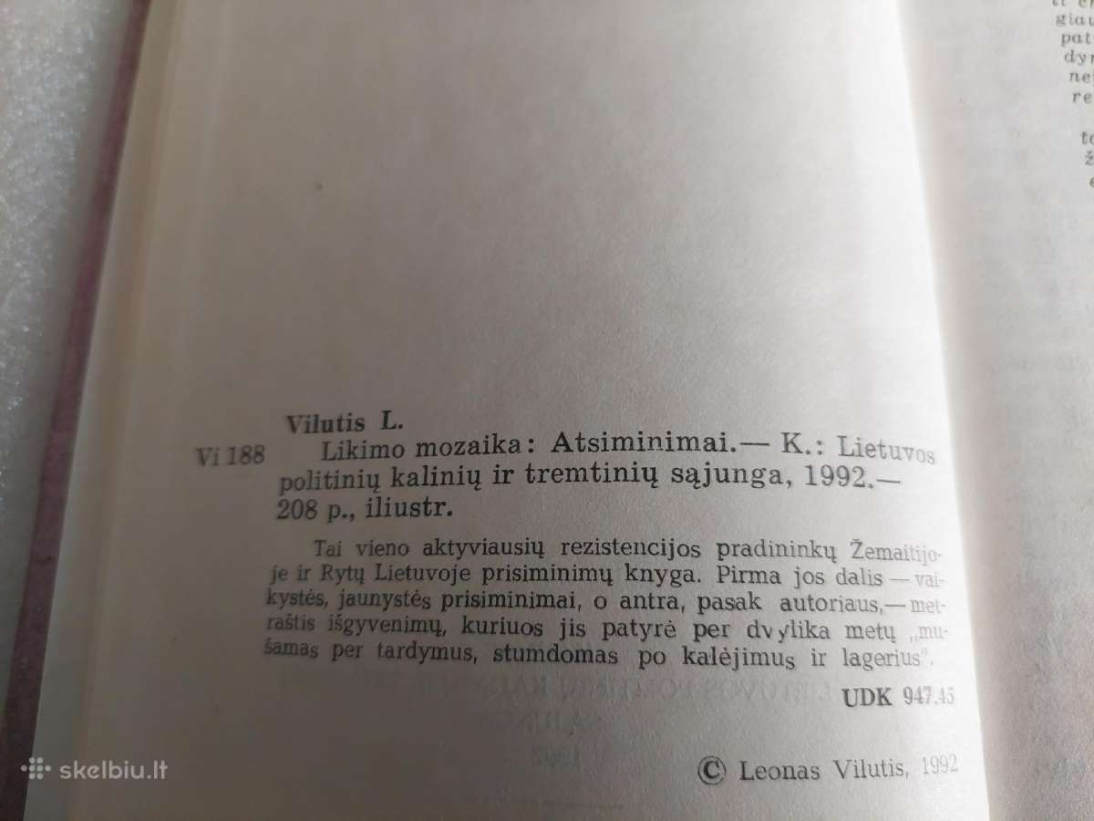 Likimo mozaika - nuotraukos Nr. 3