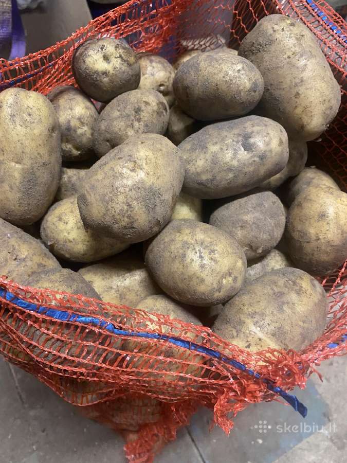 Parduodu Vineta ir Laura bulves - nuotraukos Nr. 2