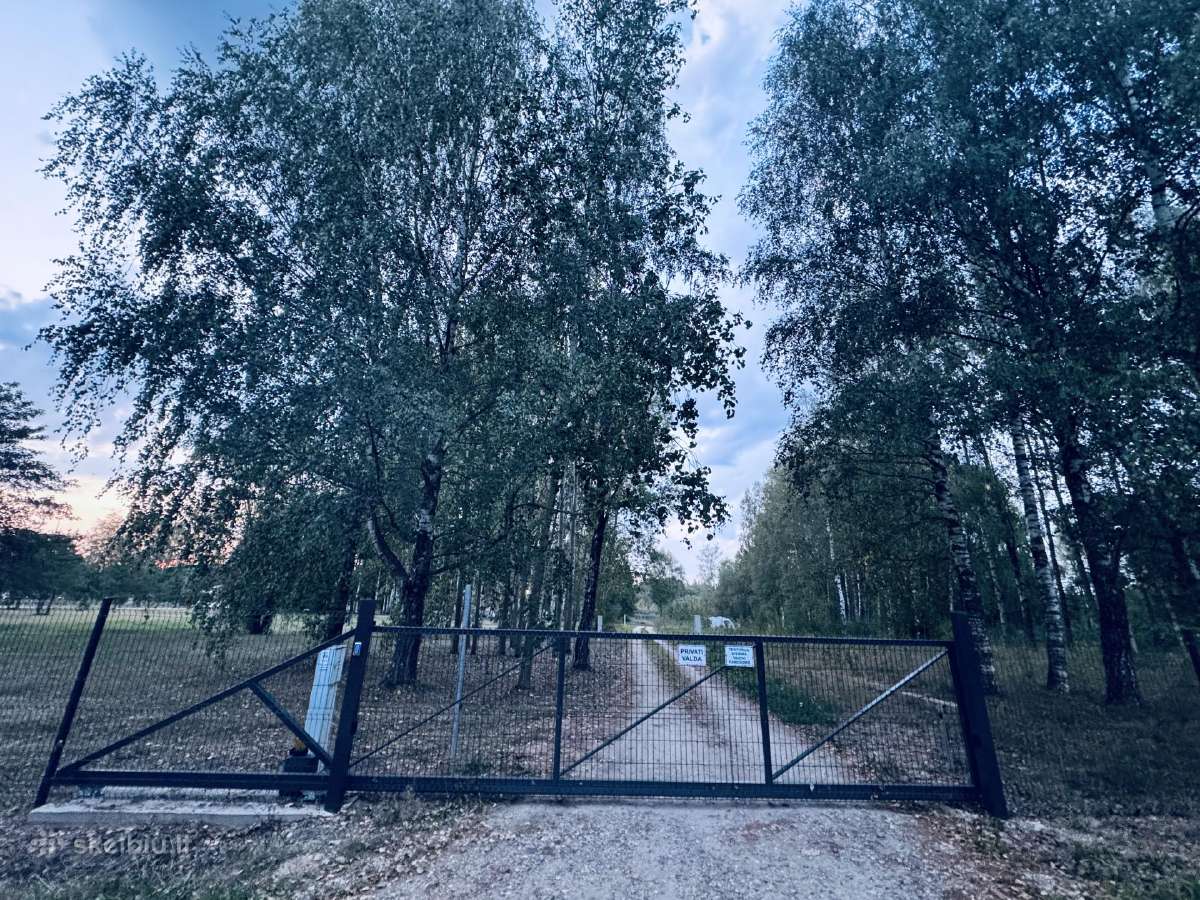 Parduodamas žėmės sklypas prie Šešupės marių - nuotraukos Nr. 12