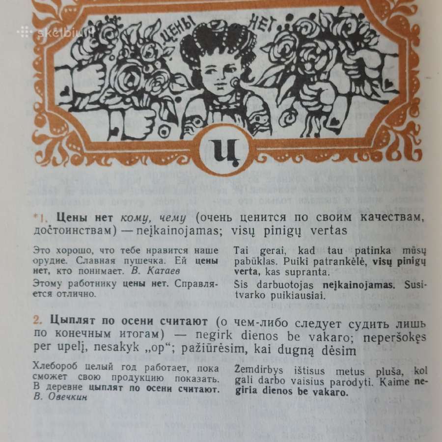 Mokyklinis rusų-lietuvių frazeologijos žodynas - nuotraukos Nr. 13