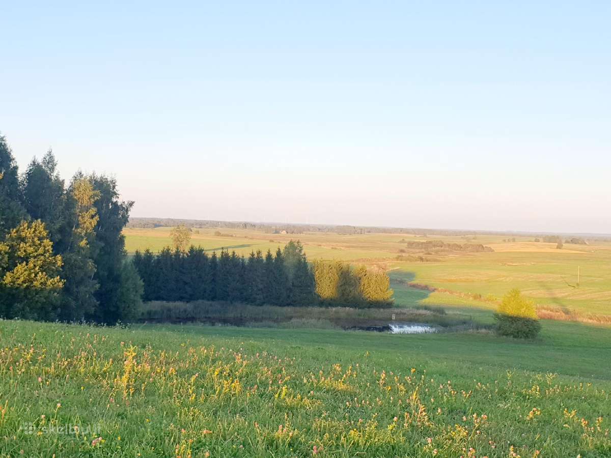 Parduodamas 13.2290 ha žemės sklypas su tvenkiniai - nuotraukos Nr. 6