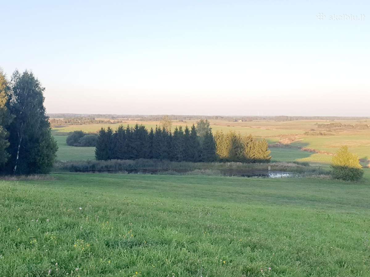 Parduodamas 13.2290 ha žemės sklypas su tvenkiniai - nuotraukos Nr. 7