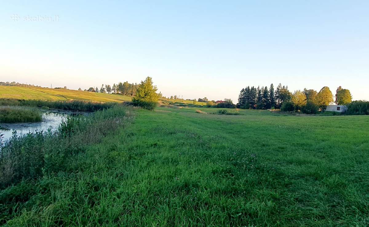 Parduodamas 13.2290 ha žemės sklypas su tvenkiniai - nuotraukos Nr. 8