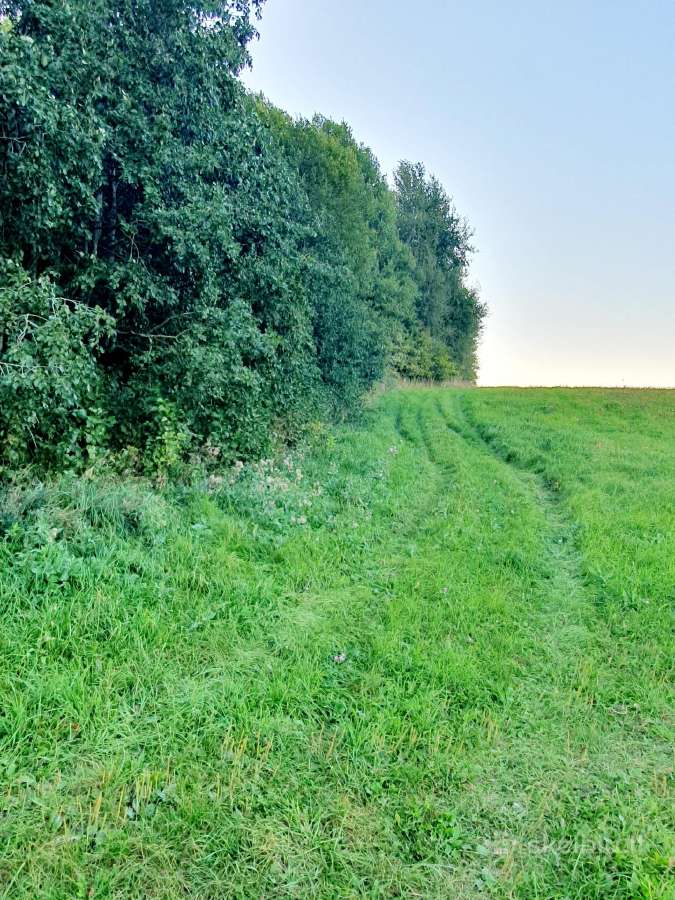 Parduodamas 13.2290 ha žemės sklypas su tvenkiniai - nuotraukos Nr. 9