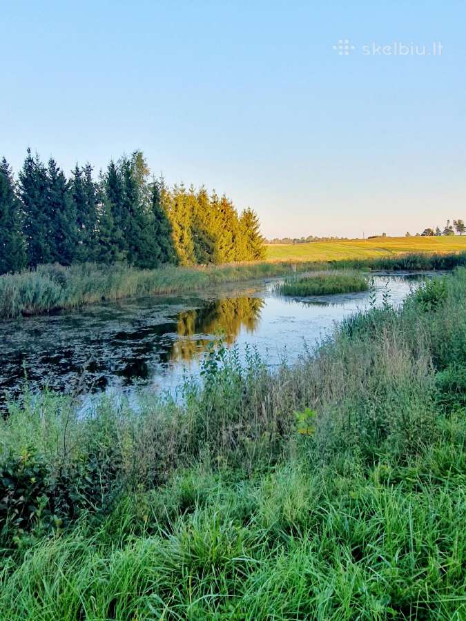 Parduodamas 13.2290 ha žemės sklypas su tvenkiniai - nuotraukos Nr. 10