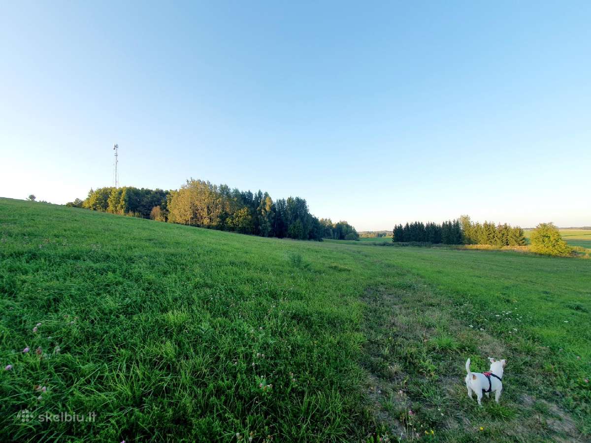 Parduodamas 13.2290 ha žemės sklypas su tvenkiniai - nuotraukos Nr. 13