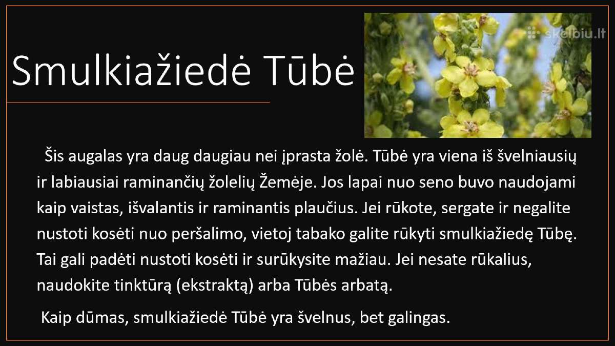 Žolelių išpardavimas. #Lotosas, #Cbd žiedai - nuotraukos Nr. 7