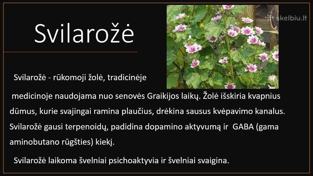 Žolelių išpardavimas. #Lotosas, #Cbd žiedai - nuotraukos Nr. 6