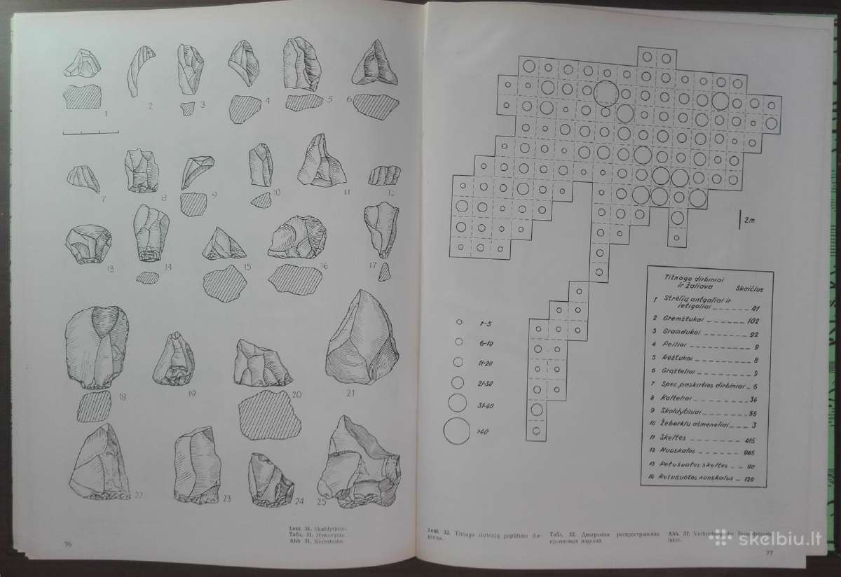 1823. Akmens Amžius Žemaičių Aukštumoje Daktariškė - nuotraukos Nr. 7