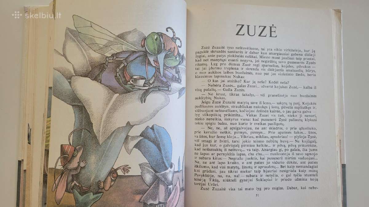 Knyga V.žilinskaitė Tik niekam nesakyk - nuotraukos Nr. 3