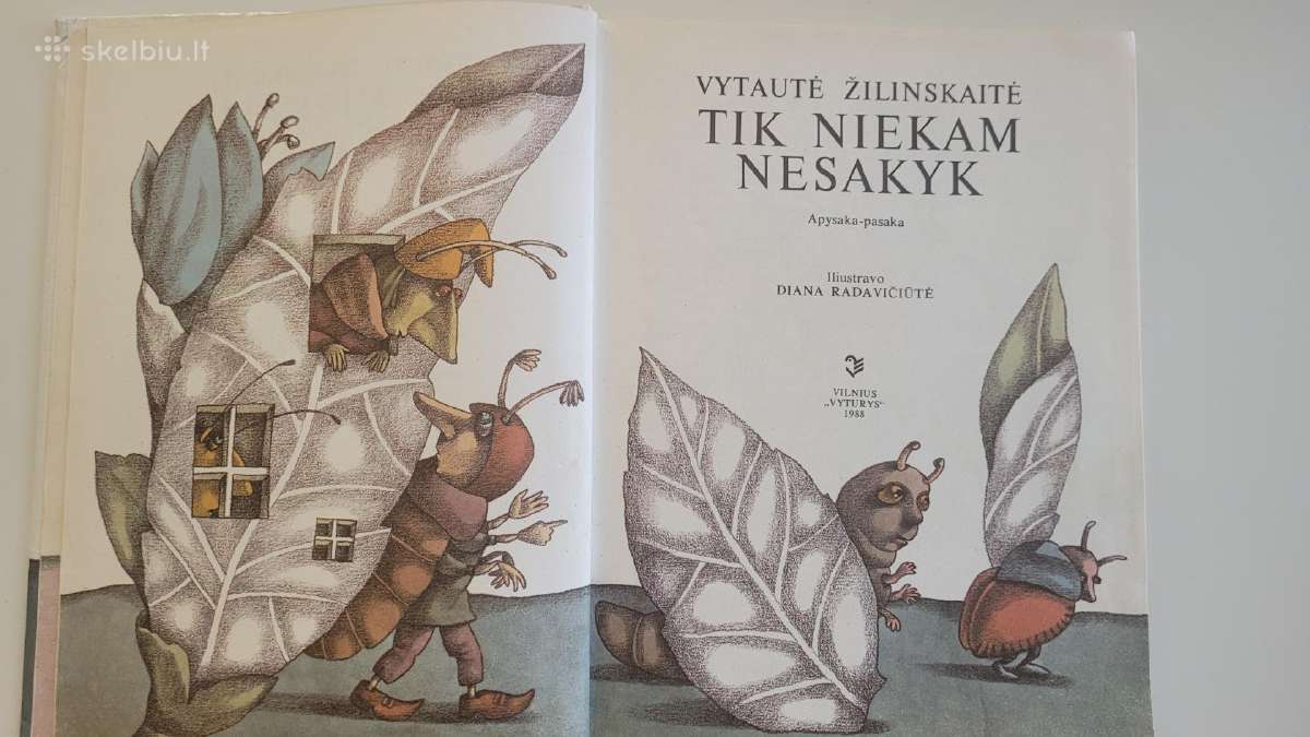 Knyga V.žilinskaitė Tik niekam nesakyk - nuotraukos Nr. 2