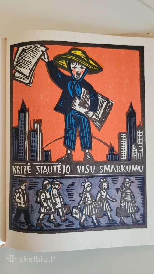Knyga L.valbasys Romuko nuotykiai Brazilijoje - nuotraukos Nr. 5