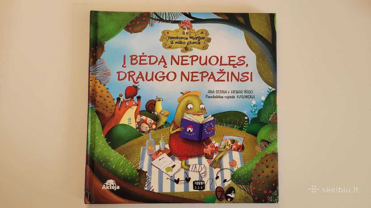 Knyga Į bėdą nepuolęs draugo nepažinsi