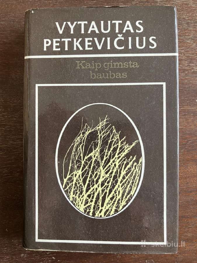 Knyga Kaip gimsta baubas