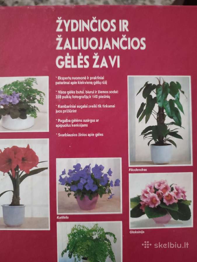 Gelių knyga - nuotraukos Nr. 2