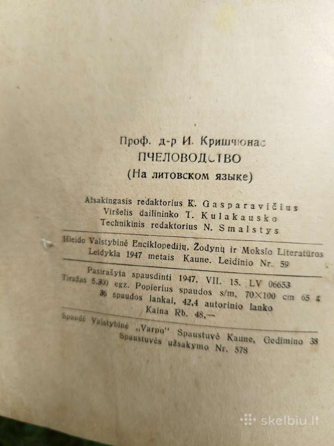Bitininkystė - nuotraukos Nr. 2