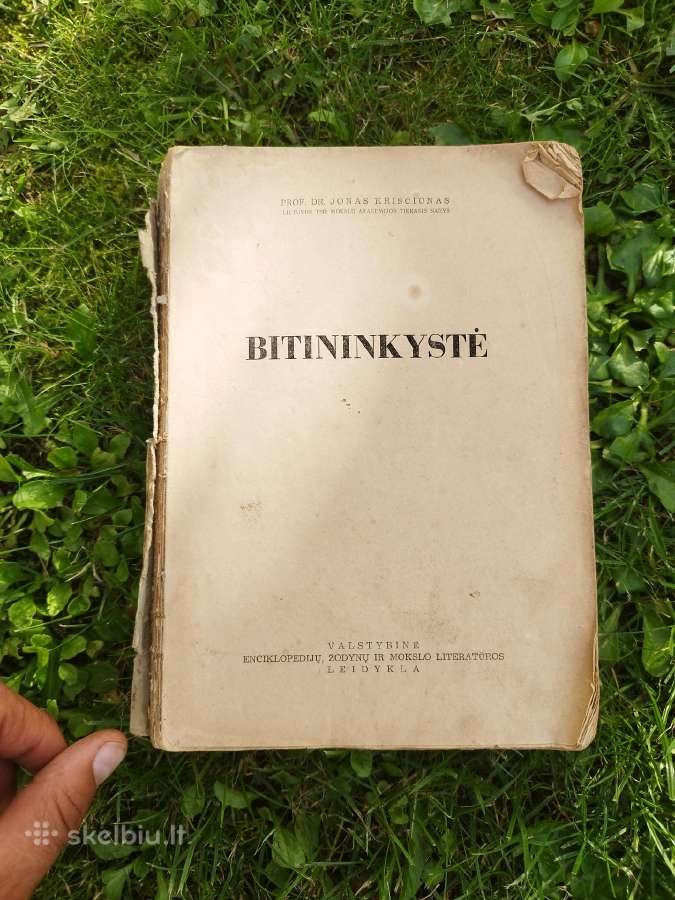 Bitininkystė