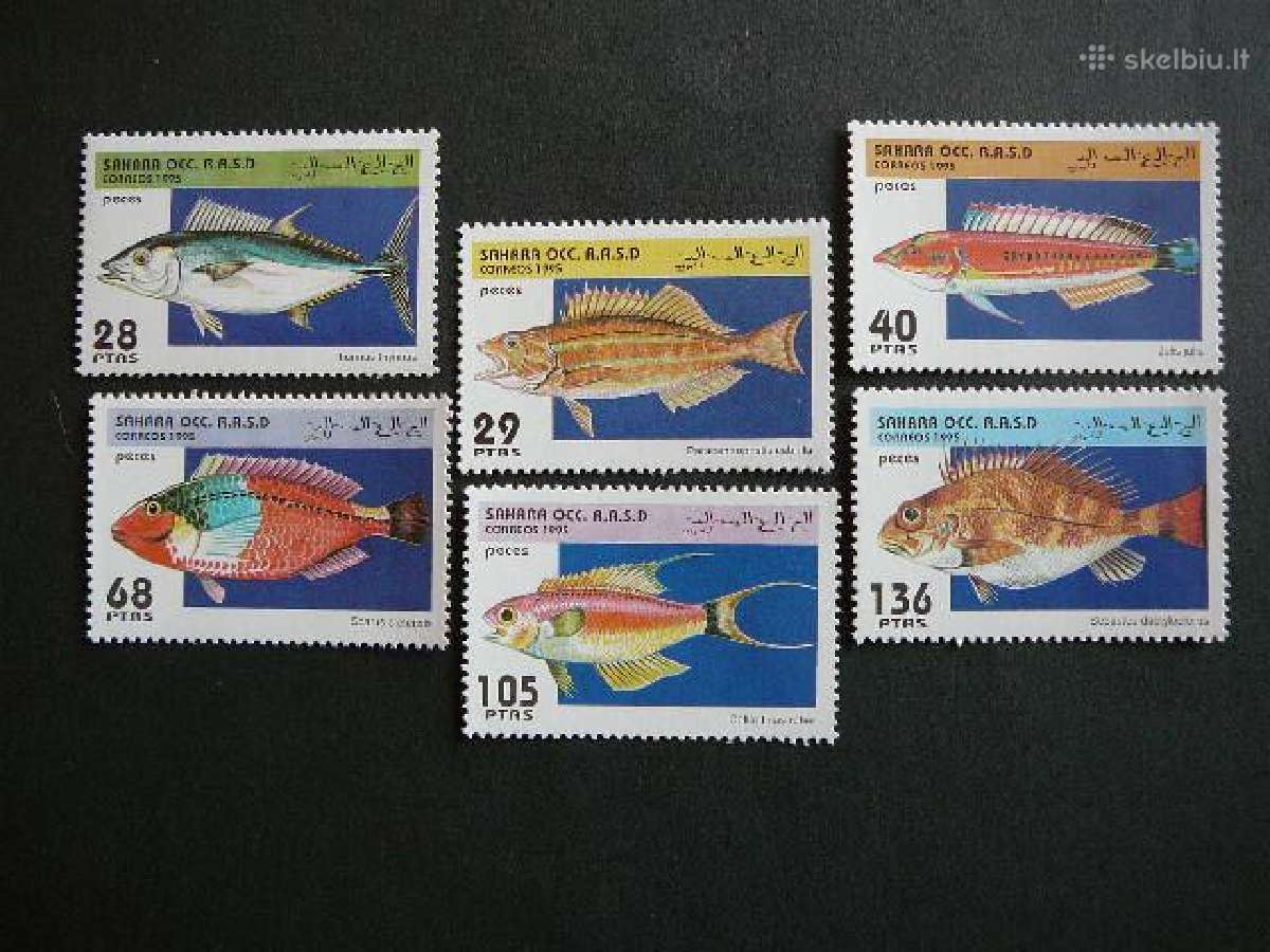 Zuvys Sahara 1995 Mnh sh384