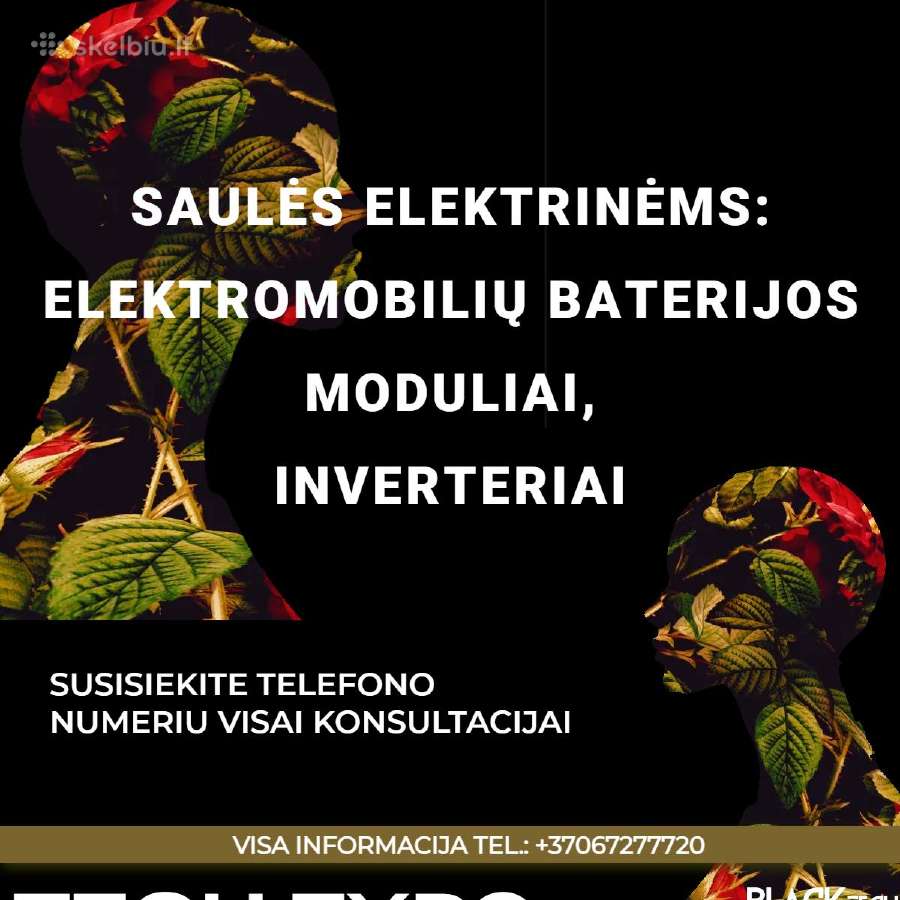 Nauji Inverteriai Saulės Elektrinei Ir Baterijos