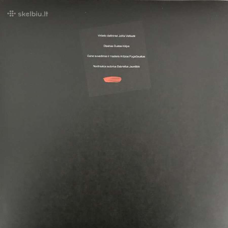 Andrius Mamontovas - Paleisk vinilas Lp (Foje) - nuotraukos Nr. 6