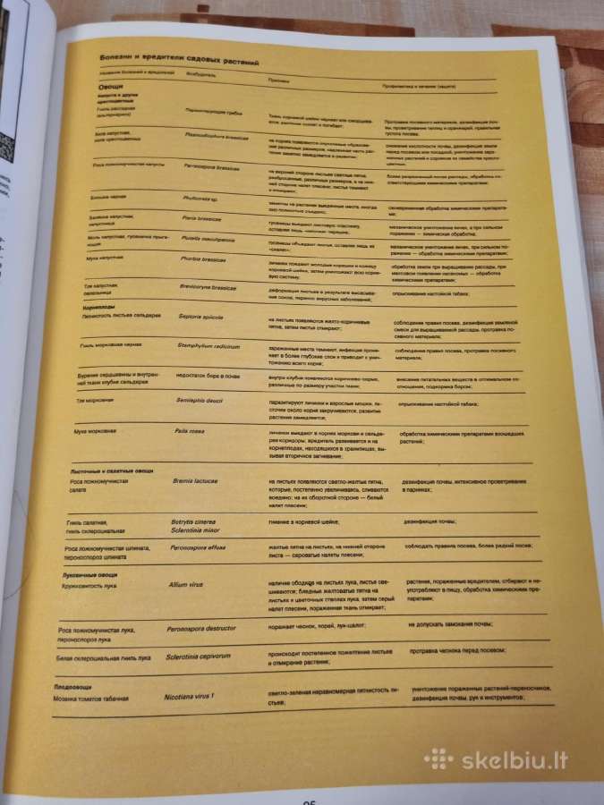 Sodininko enciklopedija rusų kalba - nuotraukos Nr. 8
