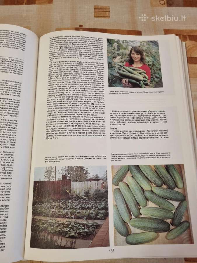 Sodininko enciklopedija rusų kalba - nuotraukos Nr. 9