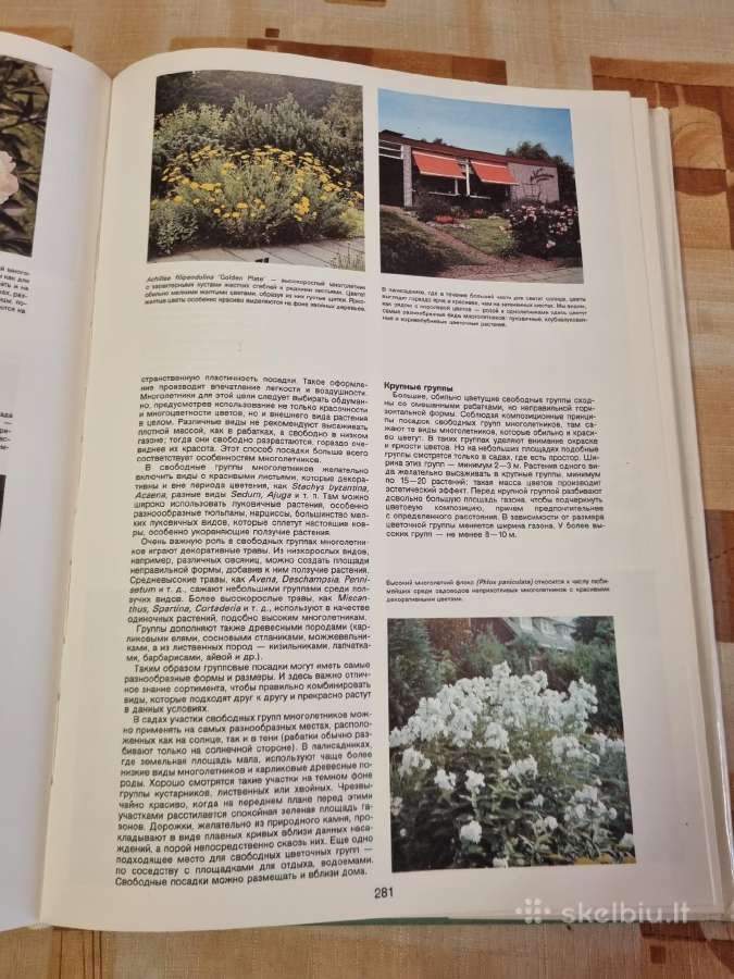 Sodininko enciklopedija rusų kalba - nuotraukos Nr. 10