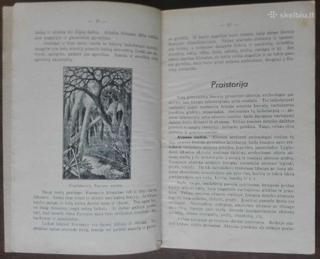 1841. Senovės Istorija J. Geniušas - nuotraukos Nr. 6