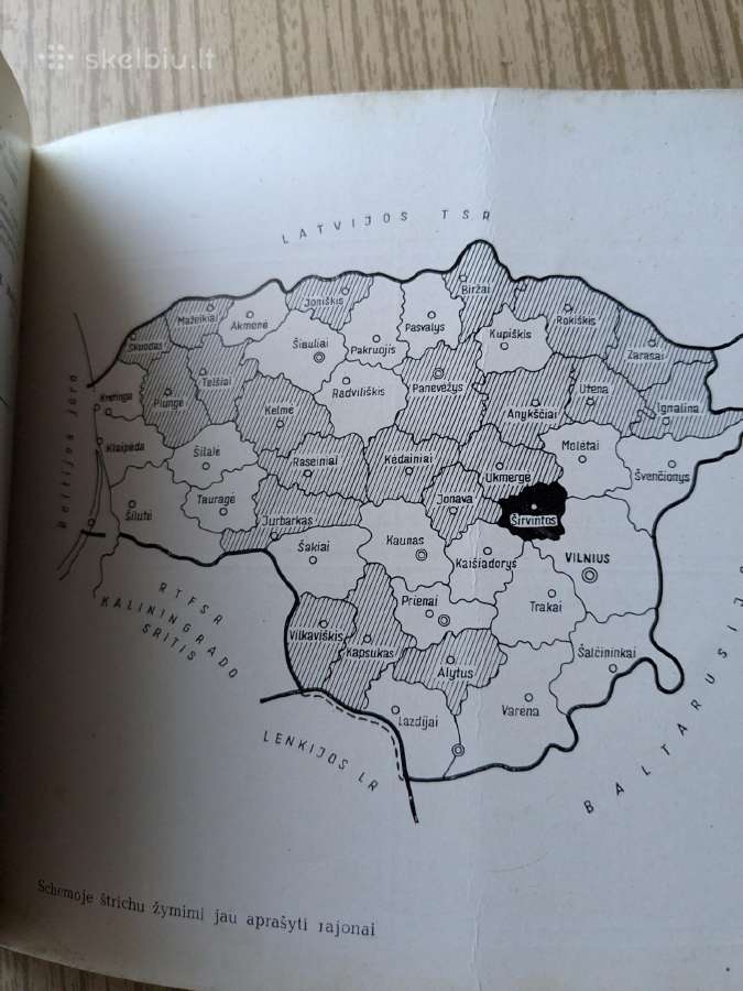Sendaikciai - nuotraukos Nr. 3