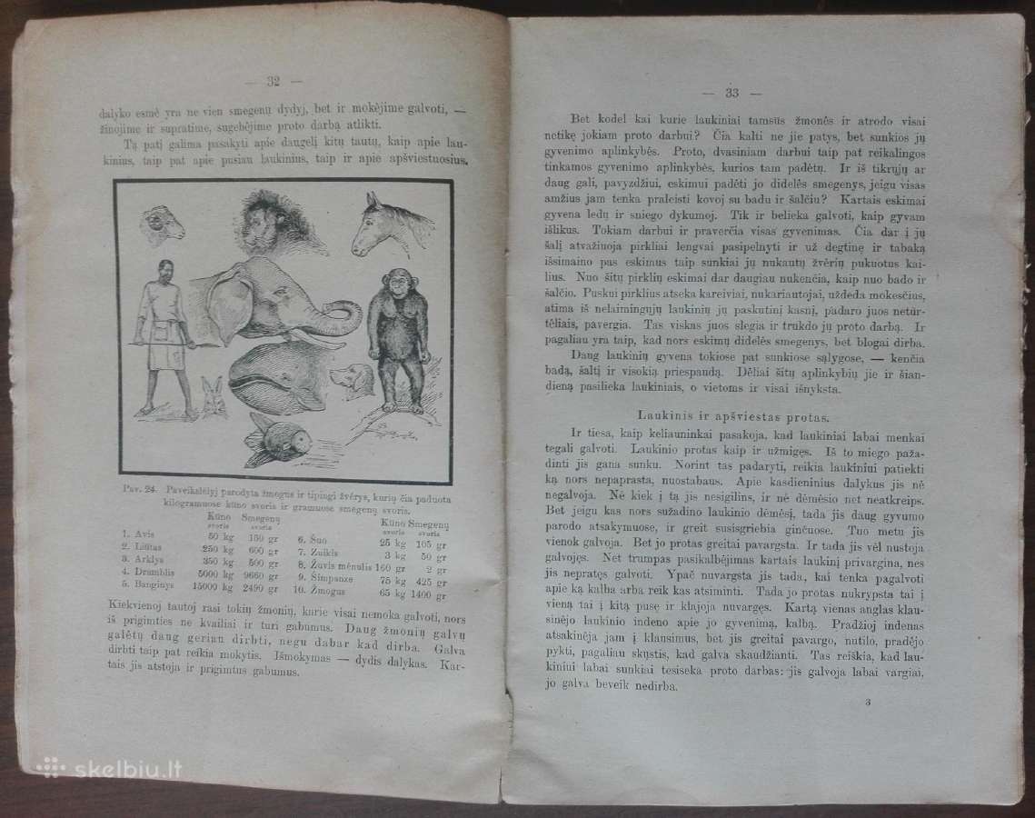 1843. Iš Tamsios Praeities Į Šviesią Ateitį N. Hub - nuotraukos Nr. 7