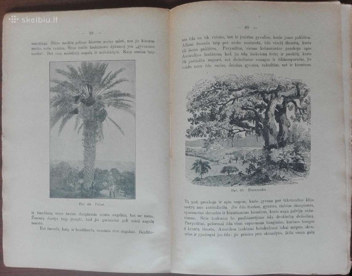 1843. Iš Tamsios Praeities Į Šviesią Ateitį N. Hub - nuotraukos Nr. 11