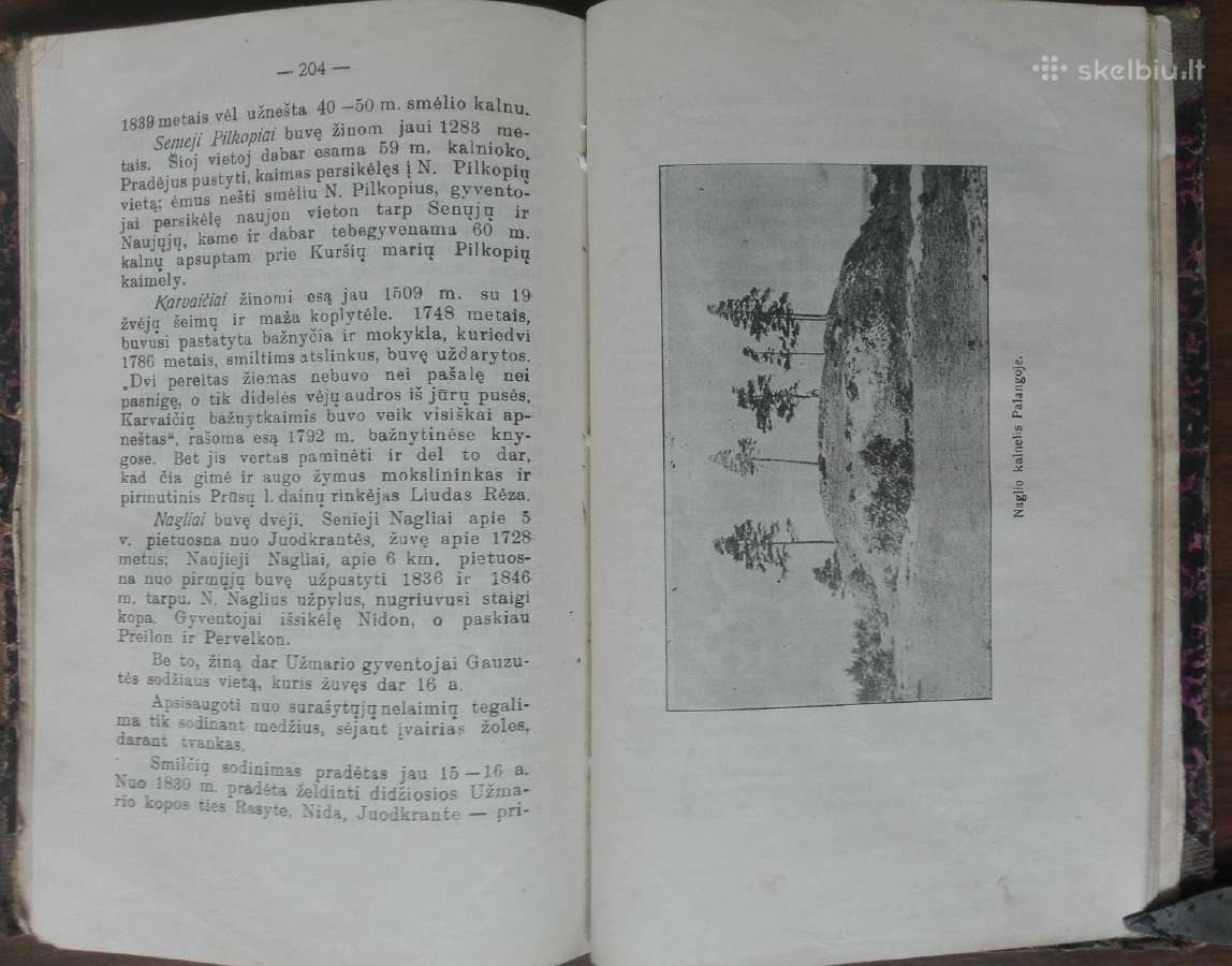 1845. Vandens Ir Vėjo Galybės labai reta - nuotraukos Nr. 10