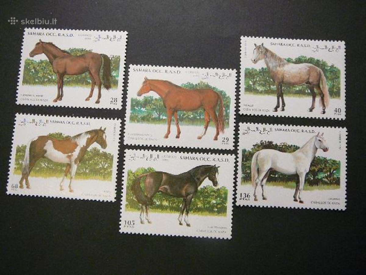 Arkliai Sahara 1995 Mnh sh199