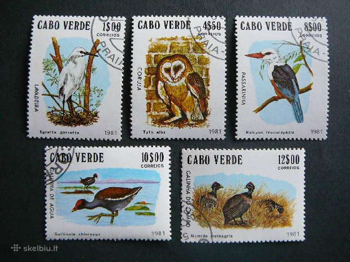 Pauksciai Cabo Verde 1981 antsp. cbv100