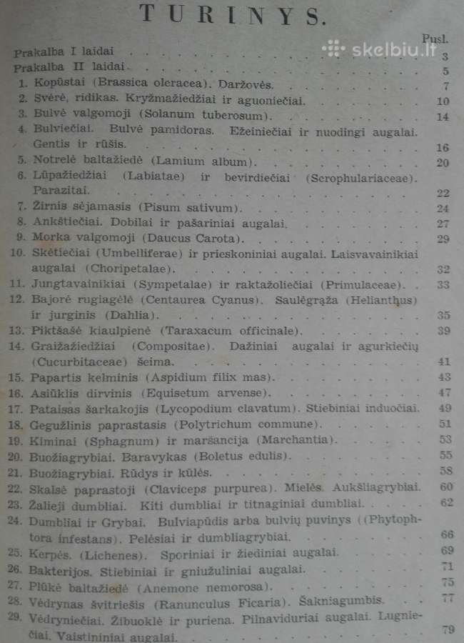 1846. Augalų Sistematika K. Regelis - nuotraukos Nr. 2