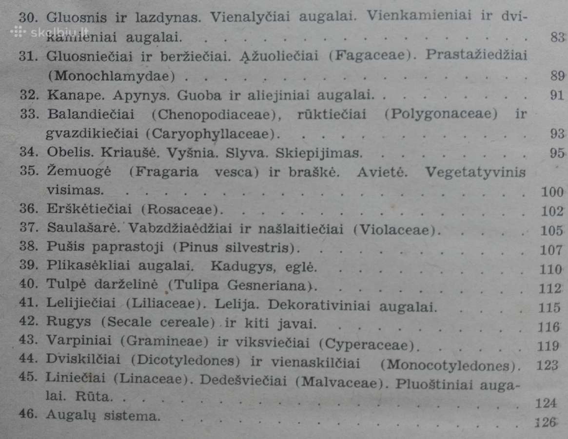 1846. Augalų Sistematika K. Regelis - nuotraukos Nr. 3