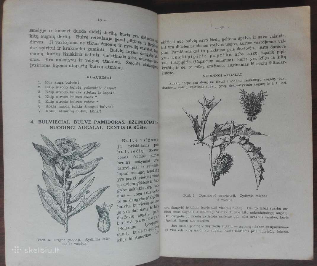 1846. Augalų Sistematika K. Regelis - nuotraukos Nr. 5
